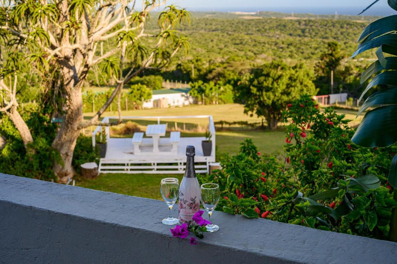 Appartamento 302 On Old Sea View Road Chelsea Port Elizabeth Esterno foto